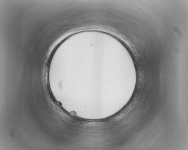 X0000114511510200911301137