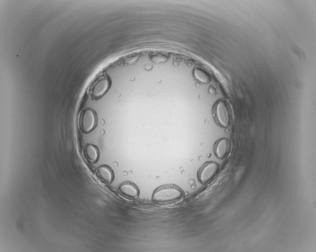 X0000114511514200911301137