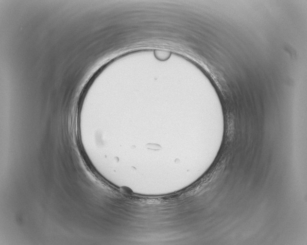 X0000114511515200911301137