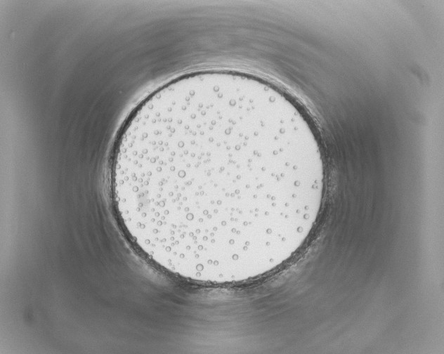 X0000114511517200911301137