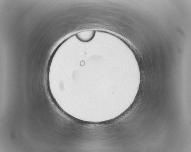 X0000114511518200911301137