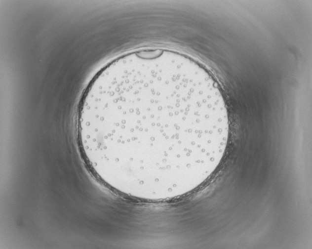 X0000114511519200911301137