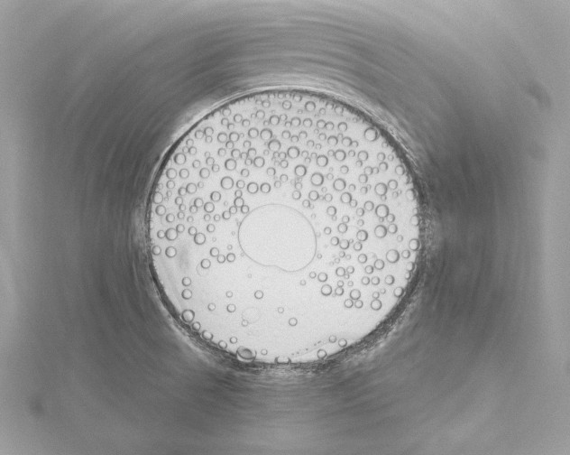 X0000114511521200911301137