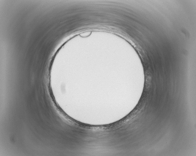 X0000114511523200911301137