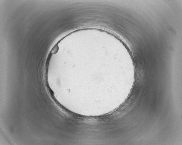 X0000114511525200911301137