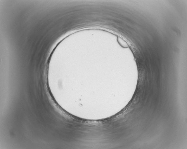 X0000114511526200911301137