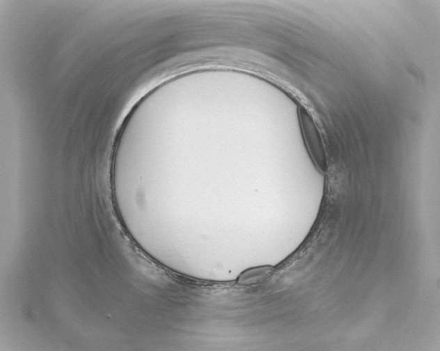 X0000114511530200911301137