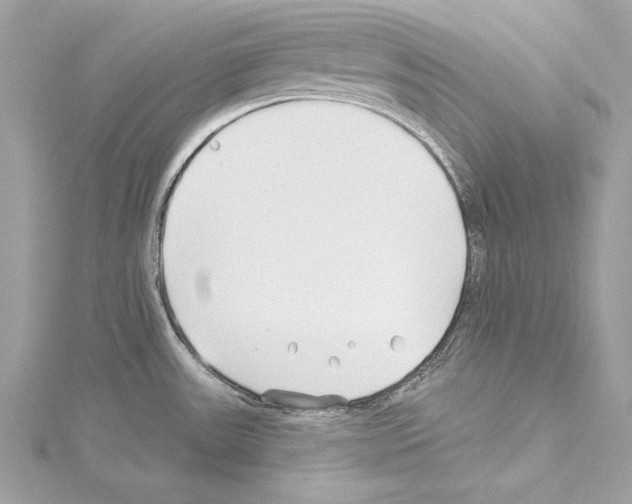 X0000114511531200911301137