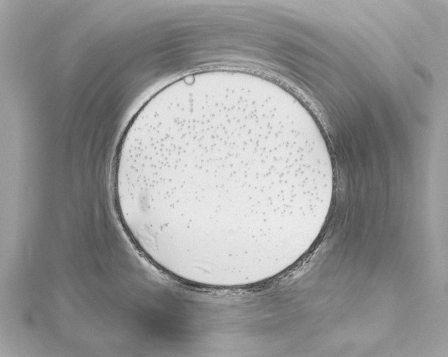 X0000114511533200911301137