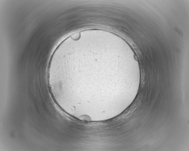 X0000114511535200911301137