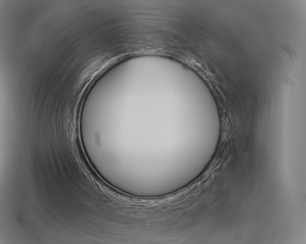 X0000114520002200910190959
