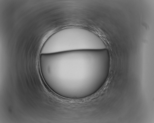 X0000114520003200910190959