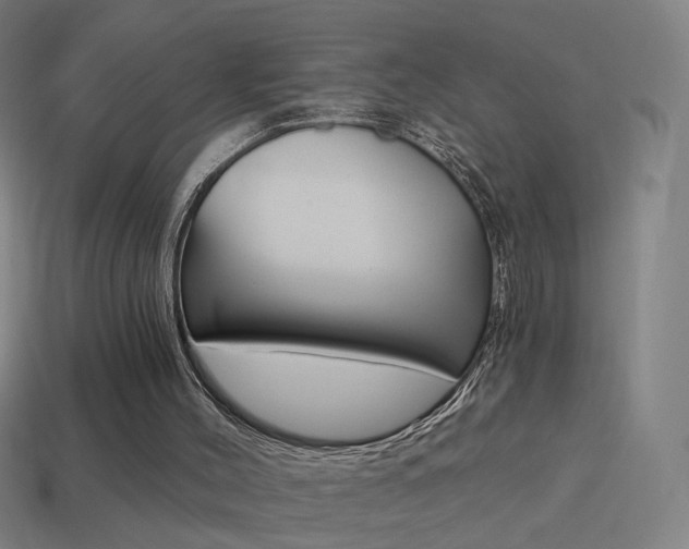 X0000114520004200910190959