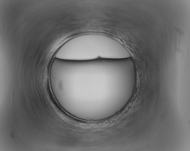 X0000114520005200910190959