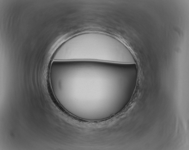X0000114520007200910190959