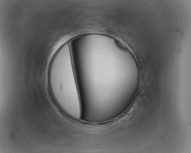 X0000114520008200910190959