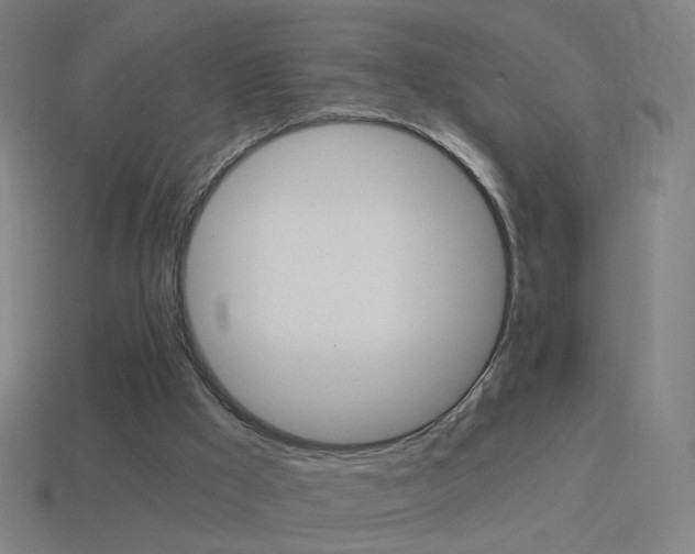 X0000114520009200910190959