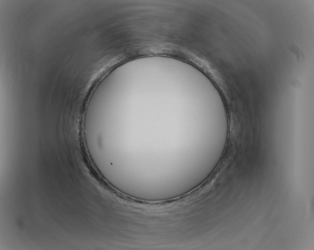 X0000114520010200910190959