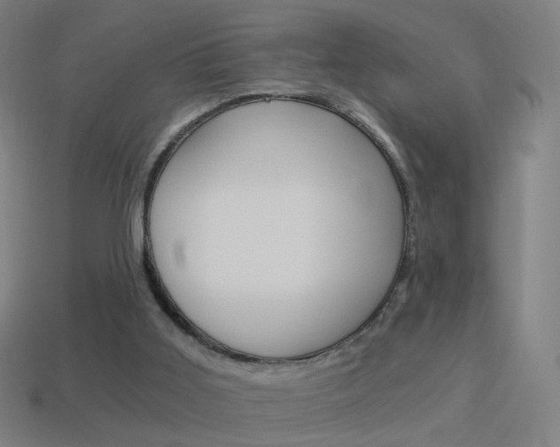 X0000114520011200910190959