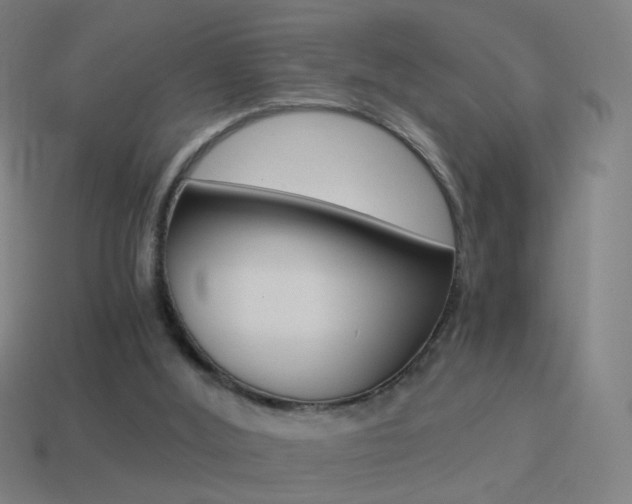 X0000114520012200910190959