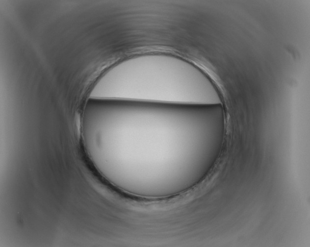 X0000114520013200910190959
