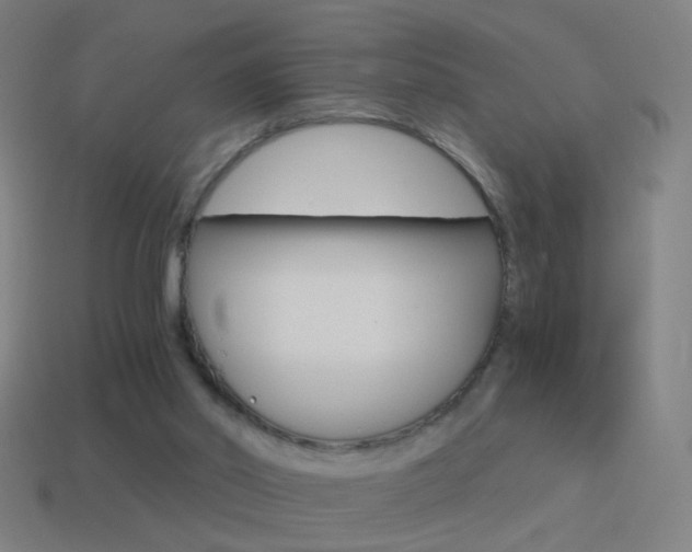 X0000114520014200910190959