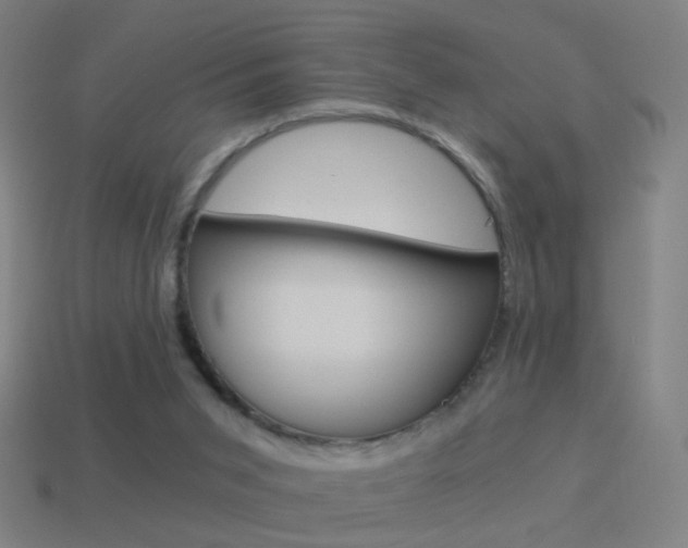 X0000114520015200910190959