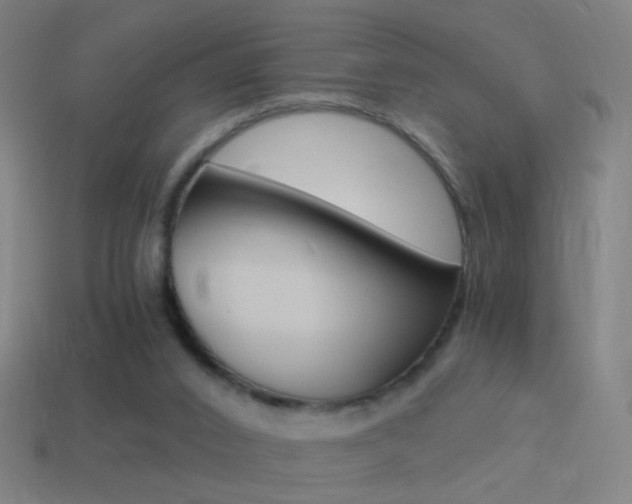 X0000114520016200910190959
