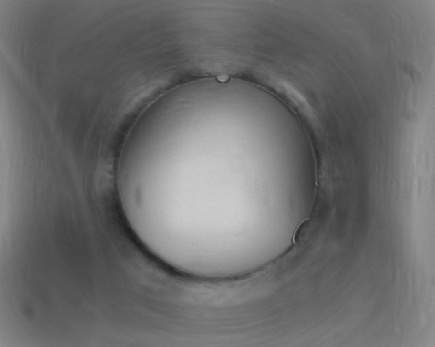 X0000114520017200910190959