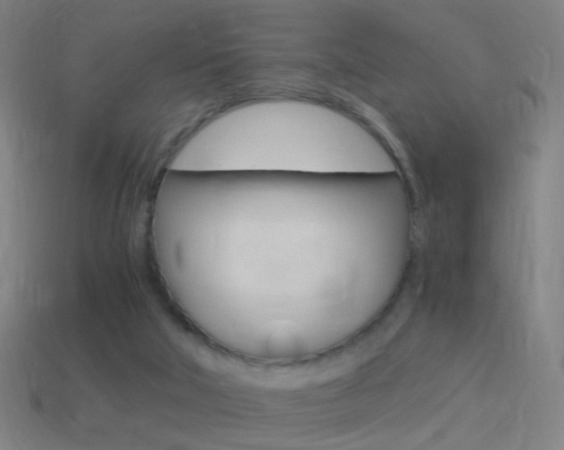 X0000114520018200910190959
