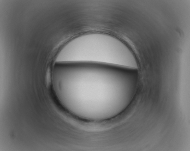X0000114520020200910190959