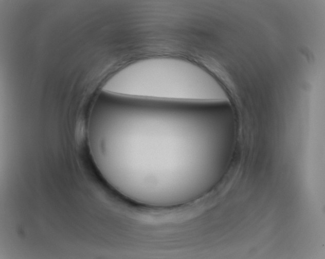 X0000114520021200910190959