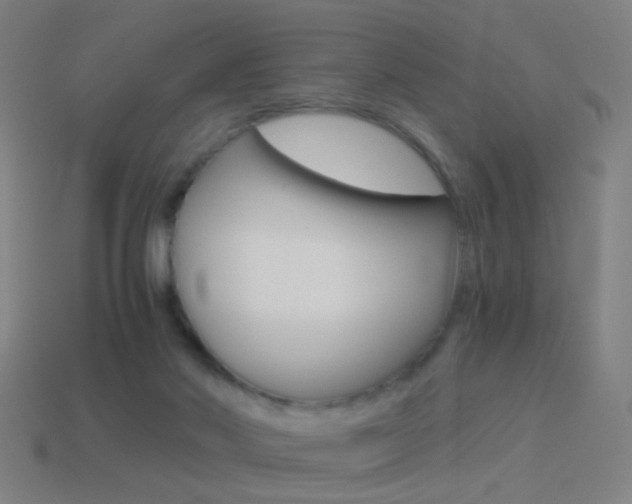 X0000114520022200910190959