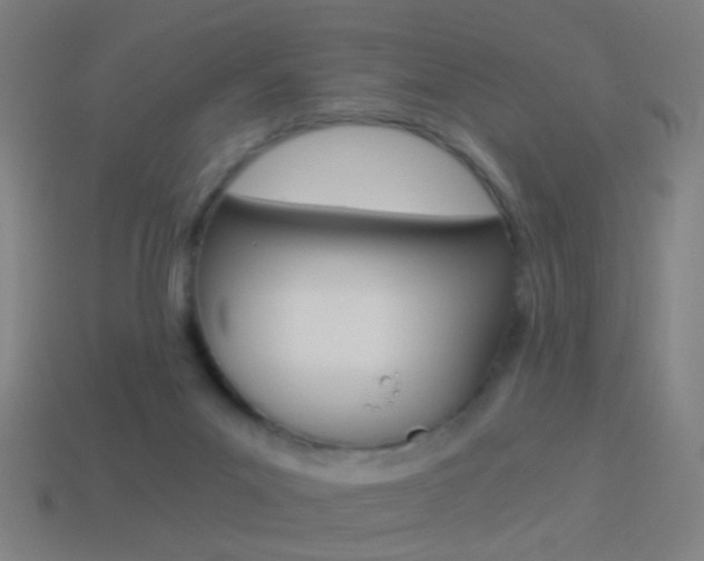X0000114520023200910190959