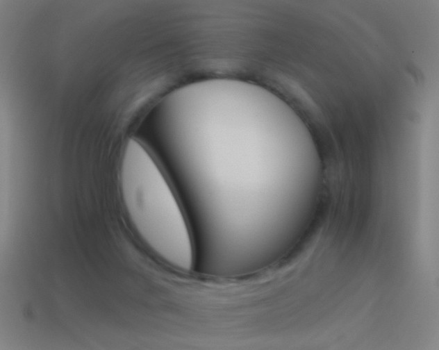 X0000114520024200910190959