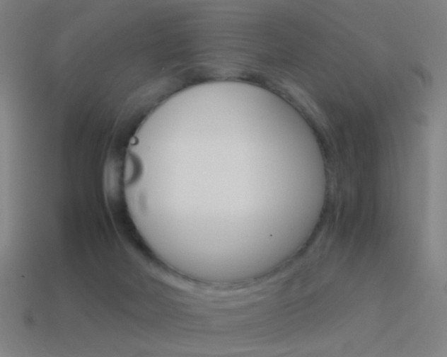 X0000114520026200910190959