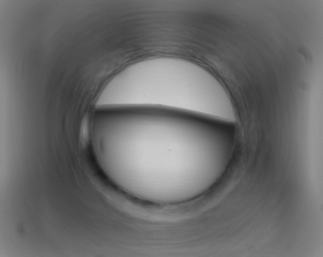 X0000114520028200910190959