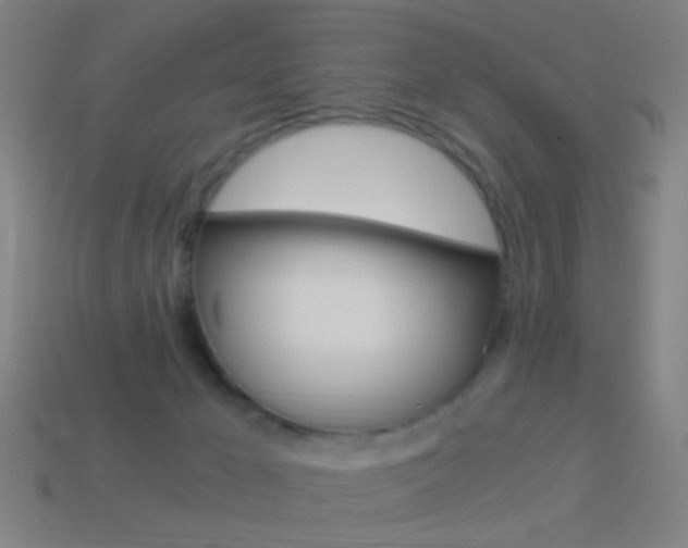 X0000114520029200910190959