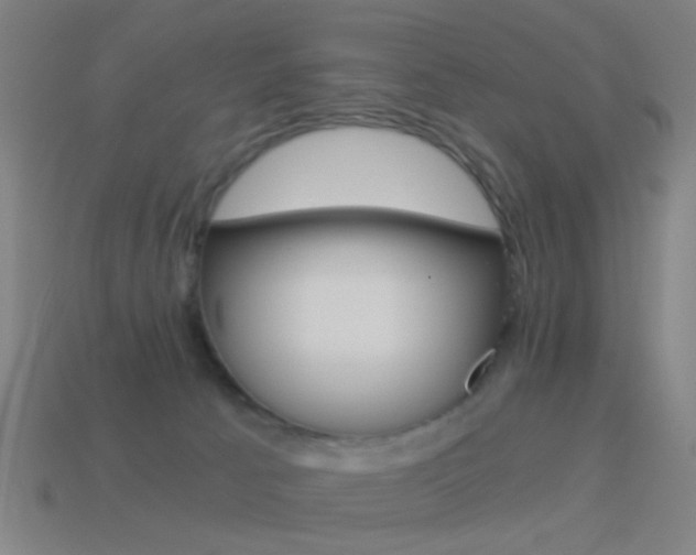 X0000114520033200910190959