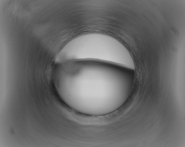 X0000114520036200910190959