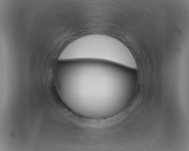 X0000114520037200910190959