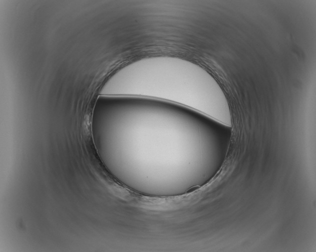 X0000114520045200910190958