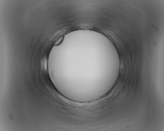 X0000114520046200910190958