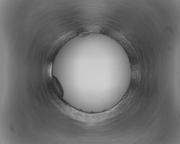 X0000114520047200910190958