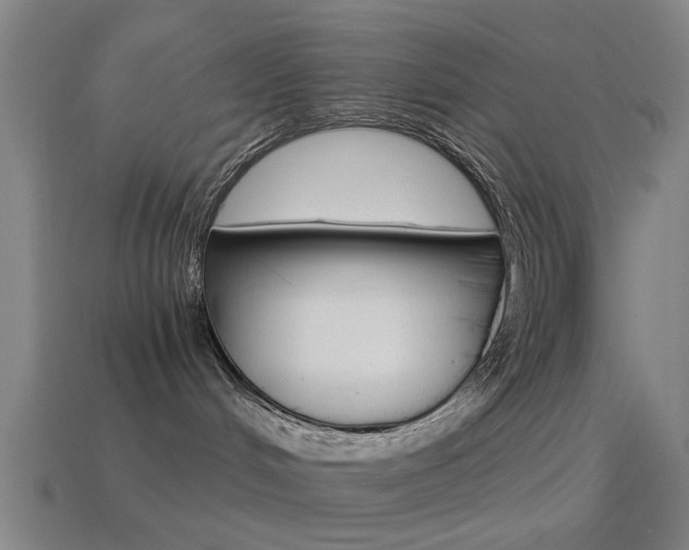 X0000114520048200910190958