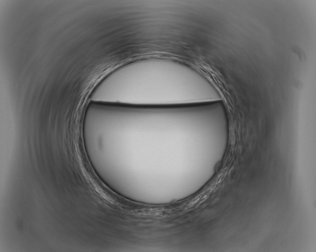 X0000114520049200910190958