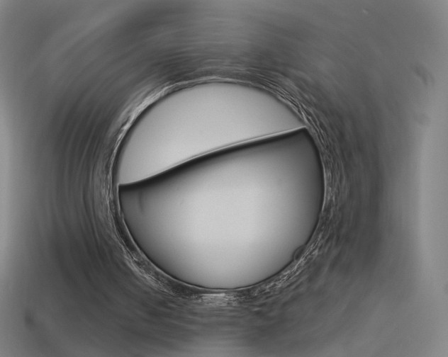 X0000114520050200910190958