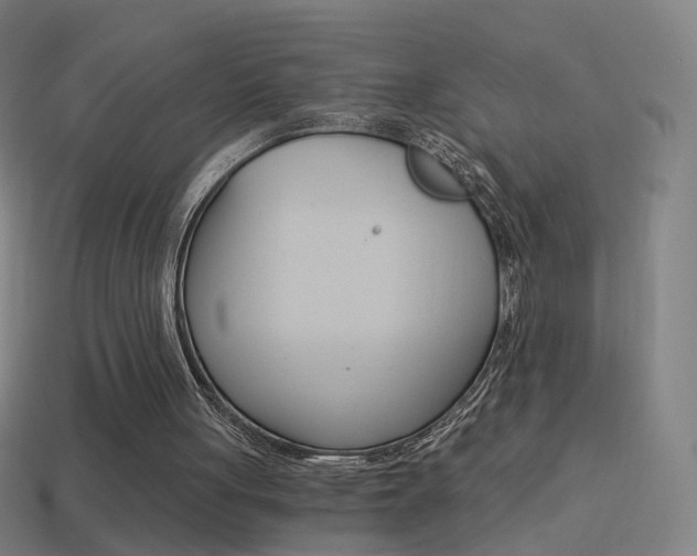 X0000114520051200910190958