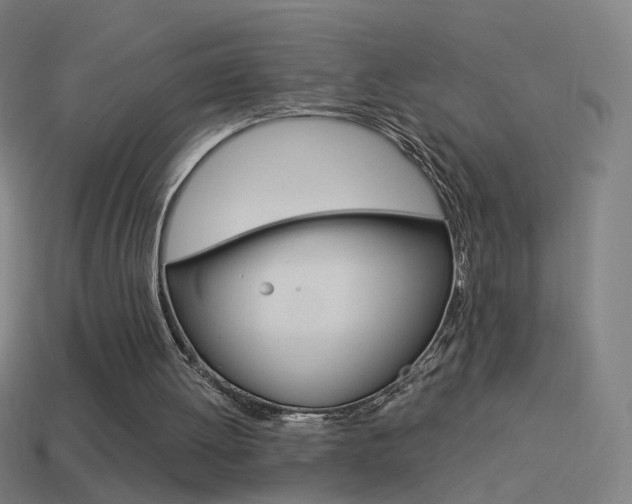 X0000114520052200910190958