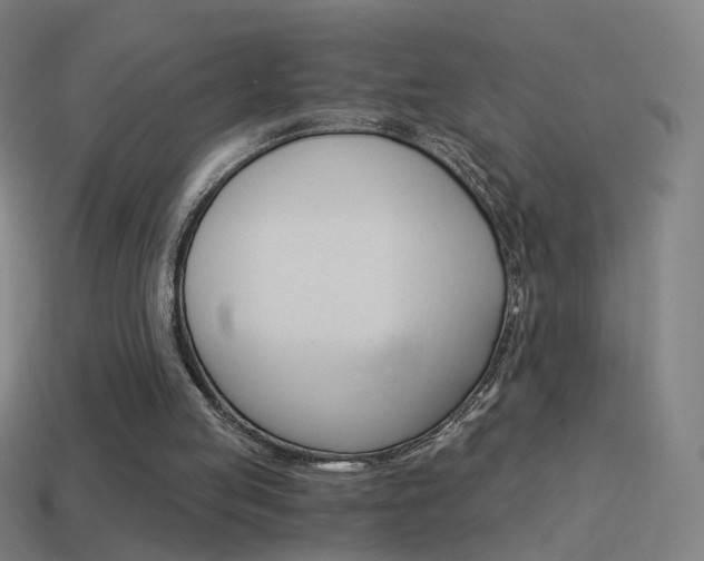 X0000114520053200910190958